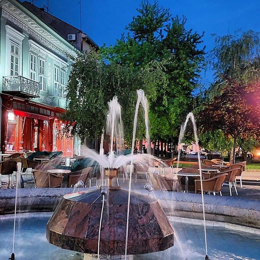 Hulk Apartment Vrsac Exterior photo