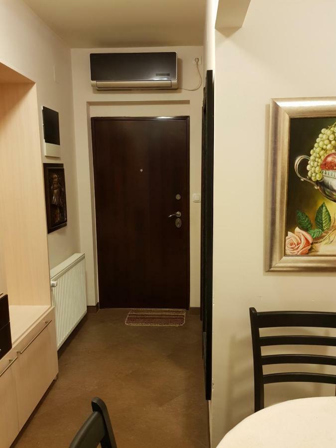 Hulk Apartment Vrsac Exterior photo