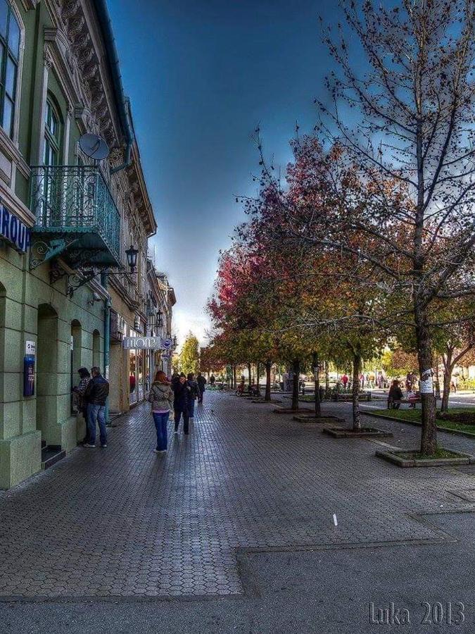 Hulk Apartment Vrsac Exterior photo